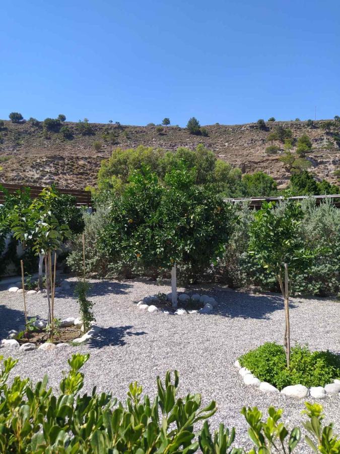 Aithonas Villa Archangelos  Exterior foto